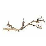 (2 Pack) Exo Terra Forest Branch, Small