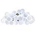 Dailyart Globe String Light, LED Starry Light Fairy Light for Wedding,Xmas Party (White, Battery-Powered, 13feet/4meters)