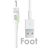 [Apple MFI Certified] Beam ElectronicsTM (Lifetime Guarantee) iPhone 5 & 6 Charging Cable, 8 Pin to USB Lightning Cable, Data/Sync Cable & Charger for Apple iPhone 5 5S 6 6 Plus, etc(1 Foot 1 Pack)