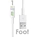 [Apple MFI Certified] Beam ElectronicsTM (Lifetime Guarantee) iPhone 5 & 6 Charging Cable, 8 Pin to USB Lightning Cable, Data/Sync Cable & Charger for Apple iPhone 5 5S 6 6 Plus, etc(1 Foot 1 Pack)