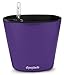 Aquaphoric Self Watering Planter (7”) + Fiber Soil = Foolproof Indoor Home Garden. Modern Decorative Planter Pot for All House Plants, Flowers, Herbs, African Violets, Succulents. Easy / Looks Great.