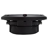 Rockford Fosgate P3SD2-8