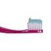 PRO-SYS® Adult Tapered Soft Toothbrush (Colorful 4-Pack) - ADA Accepted, Made with Soft Dupont™ bristles