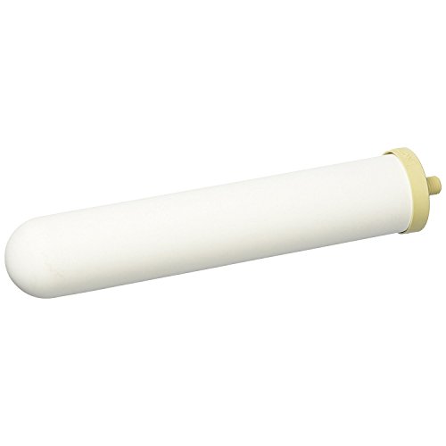 W9223021 Doulton Ultracarb Ceramic Water Filter