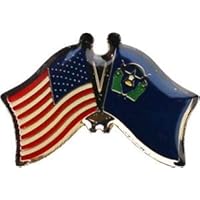 JumpingLight USA American State of Nevada Friendship Flag Bike Motorcycle Hat Cap Lapel Pin for Home, Official Party, All Weather Indoors Outdoors