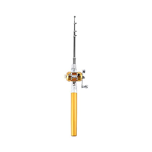 Mini-Travel-Fishing-Fish-Pen-Reel-Rod-Pole-Gift-Alloy-E