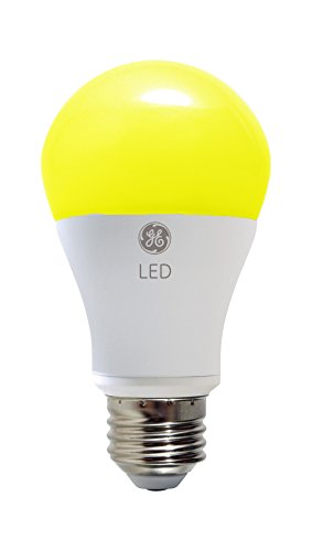 bug light