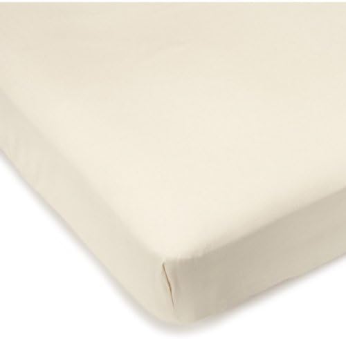 Sleeper Sofa Mattress Encasement Size: Sofa Sleeper Full