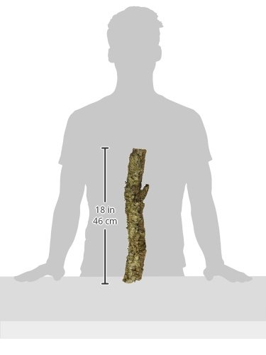 Zoo Med Natural Cork Bark Round, Small