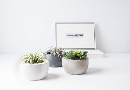 Port Living Company Concrete Planter Set