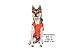 Gooby - Sports Vest, Fleece Lined Small Dog Cold Weather Jacket Coat Sweater with Reflective Lining, Orange, Large