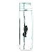 Real Nature Common Blue Bottle Butterfly Paperweight Insect Bug Collection Specimen Taxidermy(3x3x1)