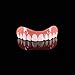 Perfect Smile Veneers Cosmetic Teeth Veneer Dentures for Woman and Man, One Size Fit All (Teeth upper)