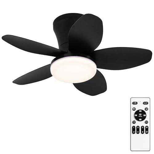 Drewaay 25-Inch Small Ceiling Fan