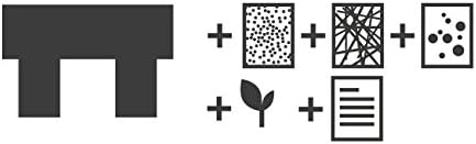 SeedBox SBMIMG Kit huerto Urbano de Menta, Blanco, 20x25x25 cm ...