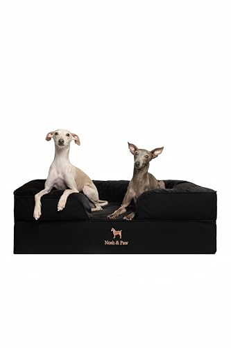 NOAH & PAW Orthopedic Memory Foam Dog Bed