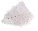 Wowlife Set of 50, 15-20cm Real Natural White Home Decor Ostrich Feathers Party Wedding Decorations Feather