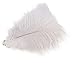 Wowlife Set of 50, 15-20cm Real Natural White Home Decor Ostrich Feathers Party Wedding Decorations Feather primary