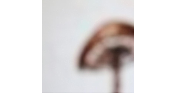 Amanita Inaurata By Lawrence English On Amazon Music Amazon Com amazon com