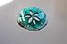 Sand Dollar Tropical Metal Wall Art Accent Teal Tainted