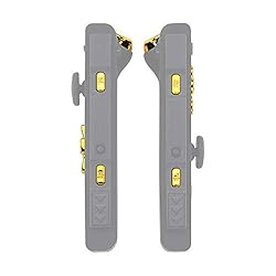 Chrome Gold D-pad ABXY Keys SR SL L R ZR ZL Trigger