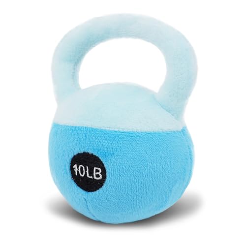 Blue Kettlebell