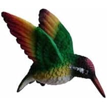NNC Clark Collection CC52039 Rainbow Hummingbird by Clark