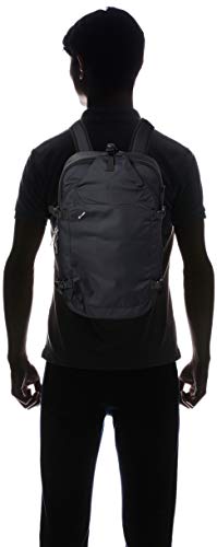 pacsafe venturesafe exp45