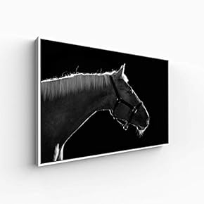 Canvas Wall Art for Living Room, Bedroom Animal Portrait Framed Canvas Prints for Home Decoration Ready to Hang - 16x24 inches