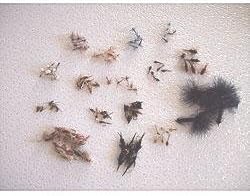 Ultimate Guides 96 Piece Fly Collection