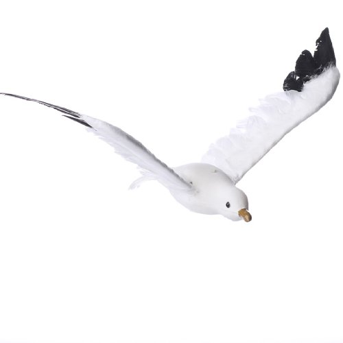 Flying Feathered Seagull Bird