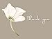 Wedding Thank You Cards, Bridal Shower, or All Occasion White Floral Thank You Card Assortment - 36 Note Card Boxed Set, Blank Inside with 38 White Envelopes - Made in the USA
