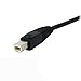StarTech.com 4-in-1 Cable for KVMs with Dual Link DVI and USB - Audio & Microphone Cables Built-in - 6ft (2m) (DVID4N1USB6) Black