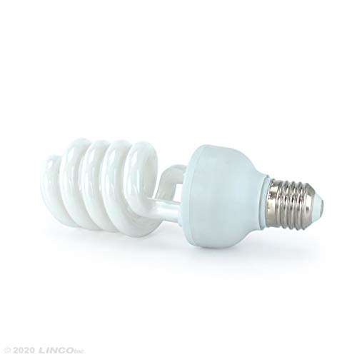 Linco-Lincostore-Photo-Video-Studio-Light-Kit-AM169-Including-3-Color-Backdrops-BlackWhiteGreen-Background-Screen