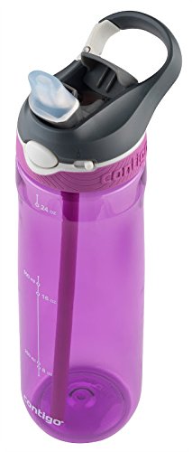 Contigo Automatic Spout Straw, 24 oz, Pink 72342
