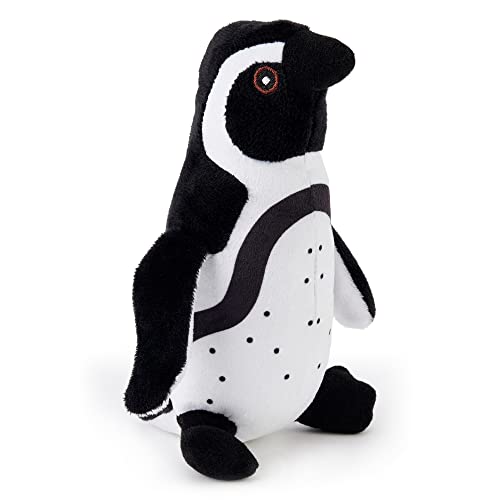 Humboldt Penguin