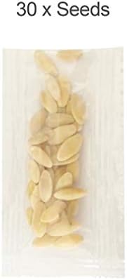 Fruit Seeds Garden Bonsai Seeds Garden Planting Fruit MOHUANee Seeds for Decor