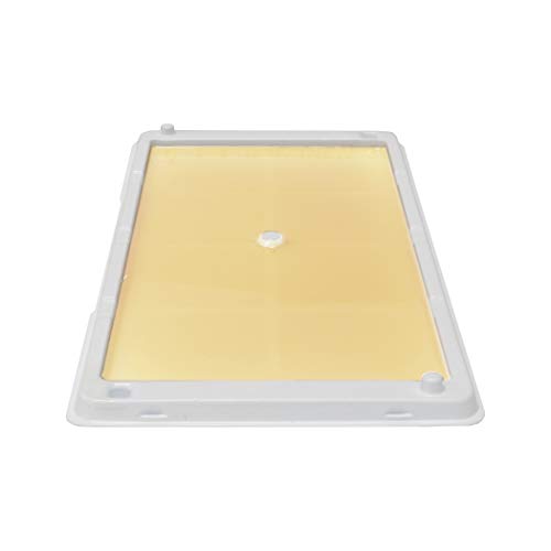 Catchmaster Mouse, Rodent & Insect Cold Weather Professional Strength Glue Traps - Non Toxic - 6 Glu - //medicalbooks.filipinodoctors.org