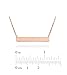 GlitterLounge Horizontal Bar Necklace .925 Sterling Silver Rose Gold Tone Finish 16