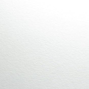 R.K. Burt : Acid Free Blotting Paper : 61x86cm : 300gsm : Pack of 25