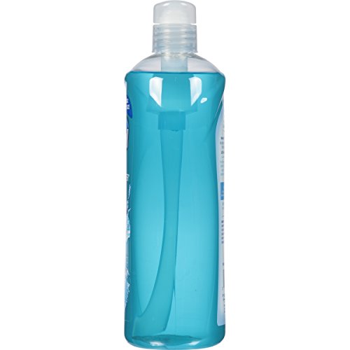 DIAL BODY WASH, REFRESH & RENEW SPRING WATER, 32 FL OZ