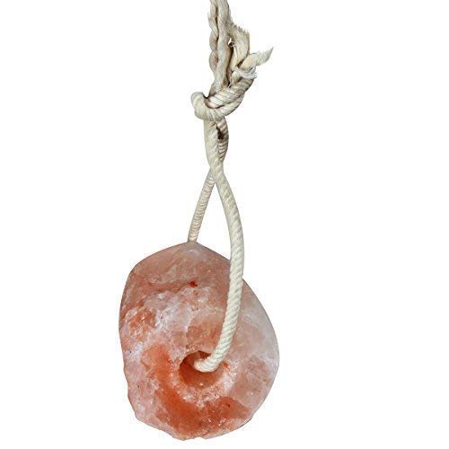 6 Alliance+Himalayan+Salt+Lick+Animals