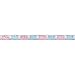 Gender Reveal Mega Party Pack for 24 - Two Size Plates + Cups + Napkins + Cutlery + Tablecloths, Balloons + Banner + Hanging Decorations + Streamers.