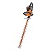 Worx WG284 40V Power Share 24