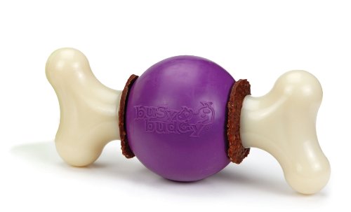PetSafe Busy Buddy Bouncy Bone Dog Toy, Small
