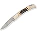 Buck Knives 501 Genuine Stag Squire Lockback Folding Knife W/Sheath