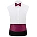 HDE Tuxedo Set Men's Formal Satin Blend Bow Tie, Cummerbund, and Pocket Square
