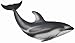 CollectA Pacific White-Sided Dolphin