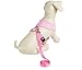 Soft Mesh Polka Dots Dog Harness with Matching Leash