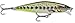 Rapala Flat Rap 06 Fishing lure, 2.5-Inch, Olive Green Muddler